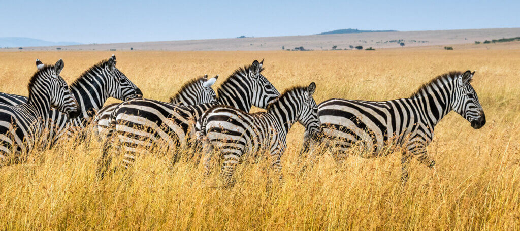 Kenya